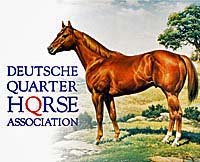 Deutsche Quarter Horse Association