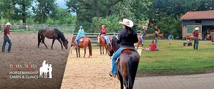 © DQHA/AQHA